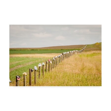 Trademark Fine Art Dan Ballard 'Caps' Canvas Art, 12x19 ALI45743-C1219GG